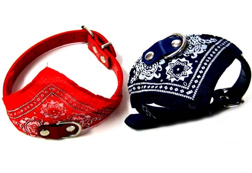 TY1009-Dog Collar S